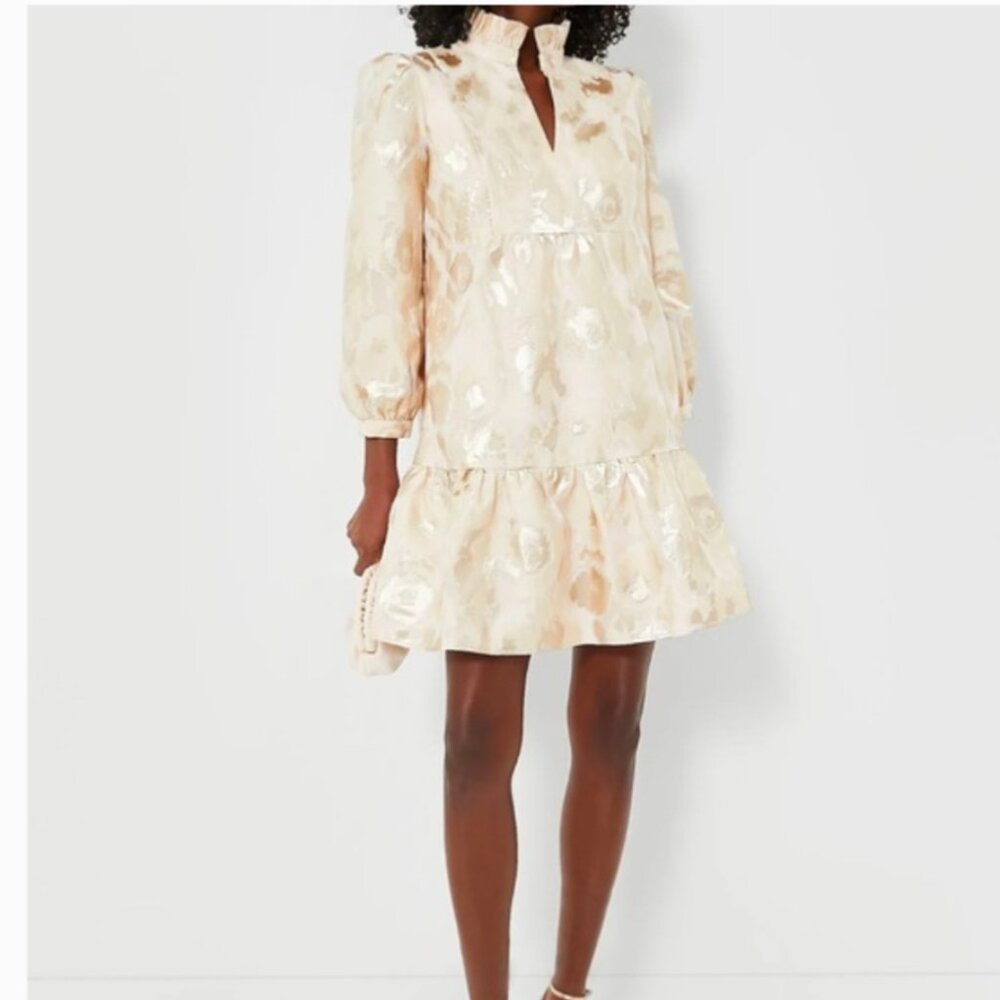 Gold & Ivory Tuckernuck Champagne Fil Coupe Palmerston Dress New With Tags XS